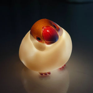 HULUXIONGDI | Light-Up Bird-Shaped Lamp