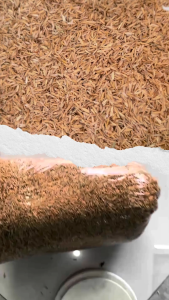 Sekam Padi Kering / Brambut untuk Media Tanam / Alas Kandang | AyamBebek.com