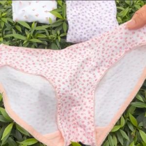 Quần chip tam giác Gee HOA NHÍ set 3 quần lót nữ vải sợi tre mềm mướt viền êm ái dễ chịu size 10-75kg thấm hút mồ hôi tốt