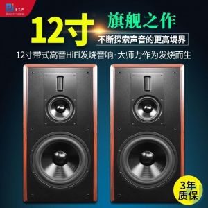 Tri-frequency Speaker 12-inch Bass HIFI Bookcase Sound System No Amplifier High Fidelity Home and School Use