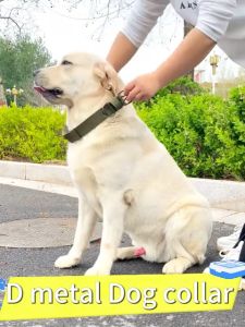 Tactical Dog Collar for Medium Large Dog Metal Buckle Adjustable Heavy Duty Nylon Dog Collar Military Training 3 Color