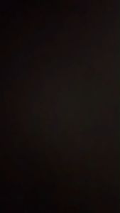 [3/6/12 Pcs] Promo celana dalam sanitary wanita Polini 5001 polyester termurah motif polos