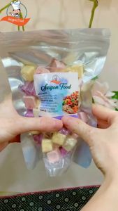 Sữa chua sấy thăng hoa - SaigonFood