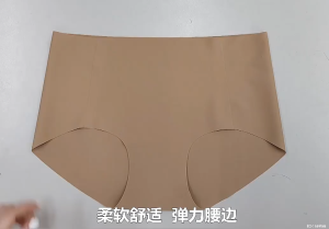 🇲🇾(Panty) Japan Women Underwear Cool Ice Mid Waist Seamless Silk Seluar Dalam Wanita Sutera日本素肌冰丝内裤