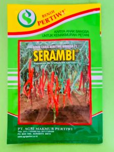 Benih Cabe Cabai Keriting SERAMBI Pertiwi isi ±10 gr terbaikk!!