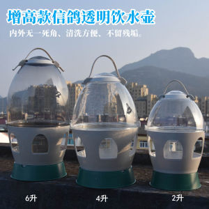 Carrier Pigeon Supplies Pigeon Set Heightening Transparent Water Kettle Pigeon Water Fountain Pigeon Water Kettle Pigeon Set Drinking Trough