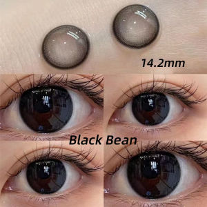 (COD) (0.00-8.00) lens Đen [HOT] Lens - Kính áp tròng contact lenses tây không viền màu đen giãn vừa ( Lens sử dụng 12 tháng) độ tặng kèm khay 14.2-14.5mm lens xám