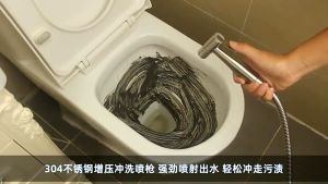 Jet Shower Stainless Steel Dual Fungsi Toilet Spray Gun Bidet Spray Gun