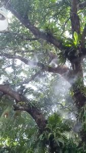 100เมตร50หัว ชุดพ่นหมอก ระบบใหญ่ ออกแบบให้ปลอดภัยติดตั้งง่าย ท่อใหญ่ อุปกรณ์ครบชุด ส่งด่วน ทันใช้งาน