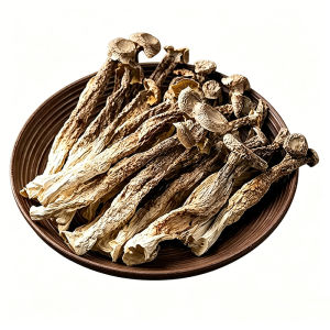 WENXIANGZAN | No Sulfur No Sand Unadulterated Antler Fungus