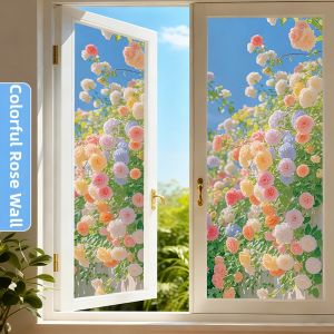 XIANXIANWUFANG | Frosted Privacy Glass Film Transparent But Not See-through
