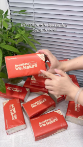 【10/20/30 Packs】RoyoPanda 100%Virgin Wood Tissue 2800 Sheets 4-Ply  Facial Tissues Convenient And Safe Clean And Pure Tissue paper