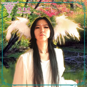 Captain MiaoWo Feather Wings Hair Accessories Original Design Wool Feather Material for Cosplay Ancient Chinese Style Ideal for Photoshoots and Halloween