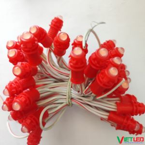 DÂY LED BÓNG ĐÚC F5/9   1 DÂY 50 BÓNG ĐIỆN 12V