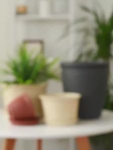 Flower Pot Large Self Watering Pots For Plant Plant Pot Large Household Flowerpot Collection Special Clearance Wholesale 花盆