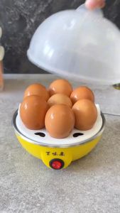 NO LIMIT Alat Rebus Telur Elektrik Setengah Matang Timer 7 Pcs Mini Egg Cooker Boiler 350W YS 203