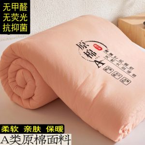 Thickened Cotton Soybean Duvet Air Conditioner Duvet Double Size Winter Autumn Duvet Single Student Dormitory Duvet