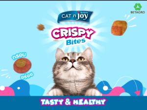 Cat N Joy Crispy Bites แคทเอ็นจอย คริสปี้ไบทส์ ขนมแมวกรุบกรอบ 60g.