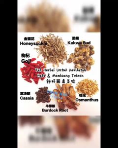 Teh Herba Untuk Kesihatan Hati & Membuang Toksin 舒肝解毒茶饮 ( 10 bungkus / 10包装 )