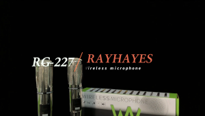 RAYHAYES Professional Wireless Microphone Rechargeable Dynamic Microphone For Karaoke Performance