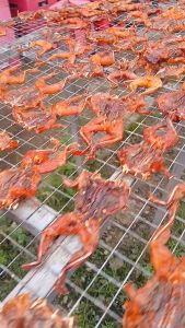 500gr Khô Ếch Ướp Sả Ớt Thịt Đùi To Nướng Thơm Mới Chiên Giòn Rụm Mê Ngay- ĐẶC SẢN MINH TRIẾT