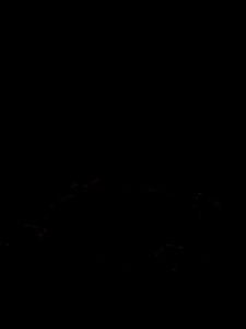 Mens Home Fitness Bundle Adjustable Dumbbell Bench Sit-Up Assistant & Exercise Chair – Perfect for Full-Body Strength Training