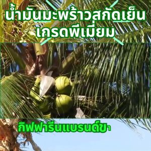 กิฟฟารีน น้ำมันมะพร้าว giffarine โคโคนัท ออยล์ Coconut Oil มะพร้าวสกัดเย็น มะพร้าวออร์แก บริสุทธิ์ ความดัน ของแท้ ดูแลสุขภาพแบบครบจบในขวดเดียว ส่งฟรี