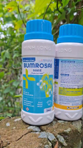 [VTNN TIEN KHOA] BUMROSAI 555SE 200ml – Trừ Nhanh Đạo Ôn Lá Bảo Vệ Cổ Bông Giúp Lúa Xanh Khỏe