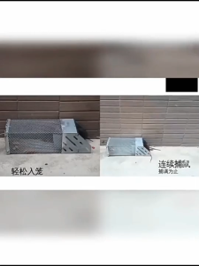 10*27.5*9CMAutomatic mouse trap