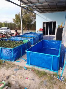 กระชังบก บ่อผ้าใบขนาด 1 * 2 ลึก 50 cm ราคา ไม่รวมโครง