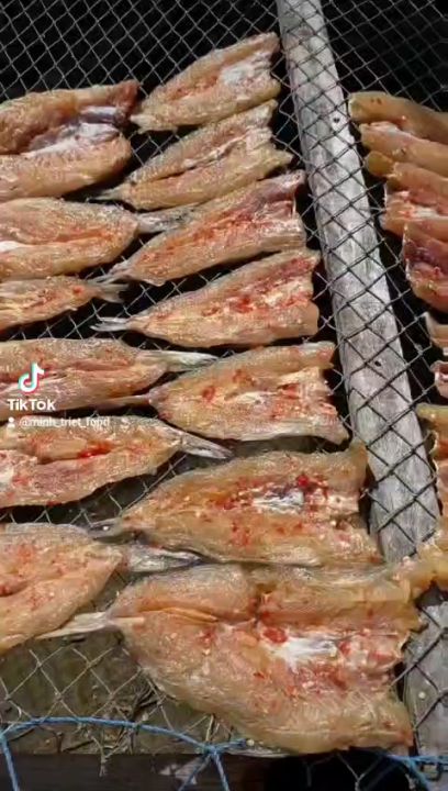 500GR KHÔ CÁ MỐITHƠM LỪNG- món khô cá mối nướng, khô cá mối chiên hoặc kết hợp làm các món ăn khác đều vô cùng thơm ngon