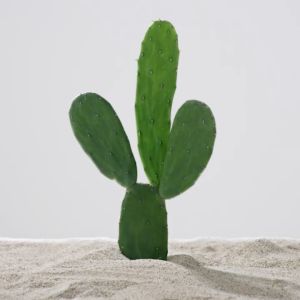 ERHA Truwhite Niacinamide & Cactus Extract Brightening Milky Essence - Pencerah Wajah