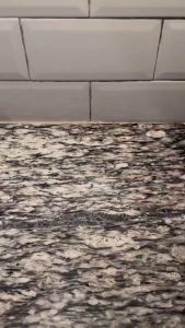 Munch Pods Bold 2 pc - Bento Tools - Peralatan Makan Anak