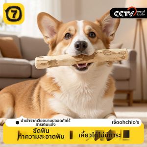 7o | Que Nhựa Chewing Bền cho chó lớn
