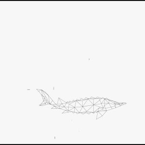 ONLYSkin Sturgeon Anti-Aging Peptide Concentrate Cream 50ml - Dermis Repairing Micro-Collagen - Moisturizers Skincare