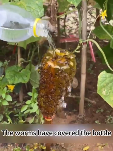 Fruit Fly Trap Attractant Spray 260ML/450ML Supernet Insect Trap Rainproof Long-lasting Stickiness Fly Trap Killer Vegetable Garden Insect Trap Spray