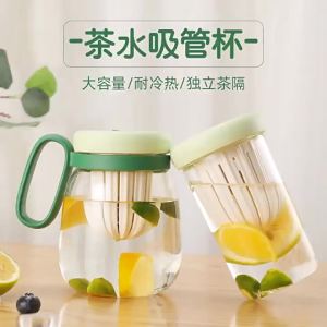 Heat Resistant Drinking Straw Glass Tumbler