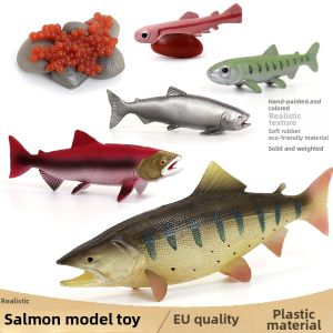 Educational Marine Animal Toy Models