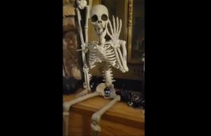 Halloween Outdoor Skeleton Plastic Posable Skeleton with Movable Joints Small Hanging Skeletons for Haunted House Graveyard Prop