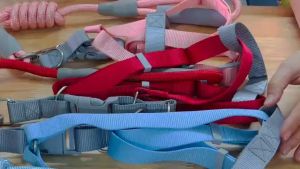 Dây dắt chó mèo màu sắc macaron (Không kèm vòng cổ yếm ngực) mẫu mới - Hara Pet Store