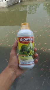(Bayar Di Rumah) Obat semprot basmi hama penggerek batang jagung terampuh - BIOWASIL 500ML - Pupuk pestisida pengendali hama penggerek  tanaman jagung terbaik - insektidida penggerek batang dan daun jagung manjur BERKUALITAS 100%