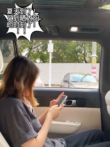 Kuma Bear Sunshade-Suction Cup Type