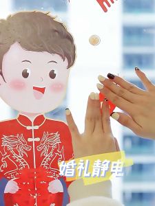 DOUBLE HAPPINESS SOFT COLOR WEDDING ELECTROSTATIC STICKER WEDDING STICKERS