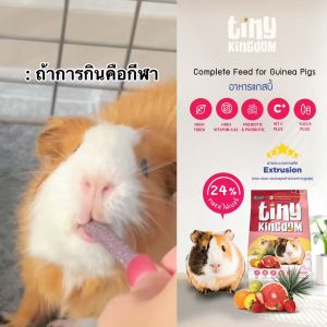 Tiny Kingdom guinea pig 300g 🐶FREE SHIP🐶 Nén thức ăn cho bọ ú có đủ Vitamin C