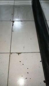 Kawat Parabola Baja Black pintu jendela