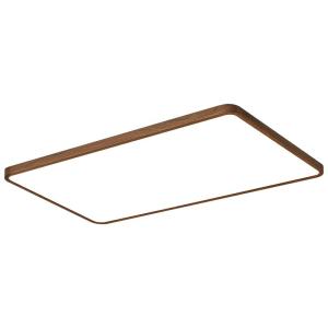 Retro Style Eye Protection Ceiling Light