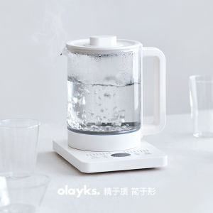 Olayks Pure Titanium Tea Kettle Steam Brewing Flower Tea Pot Spray Type Tea Maker Multi Function Water Boiler Kitchen Appliance