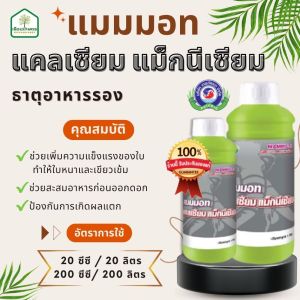 แมมมอท แคลเซียม-แมกนีเซียม ช่วยเพิ่มความแข็งแรงของใบ ช่วยสะสมอาหารก่อนออกดอก ของแท้ 100% ขนาด 1 ลิตร