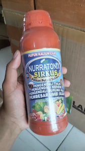 Nurratonix Sirkus 500ML – Solusi Tikus Sawah & Kebun | Obat Perawatan Tanaman dari Serangan Tikus