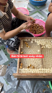 5 Cái Bút Xoáy Nhãn Có Ko Có Cán  Bằng Inox Sắc Bén Dễ Dùng Cho Dân Xoáy Chuyên Nghiệp. Dụng Cụ Lấy Hạt Nhãn Vải